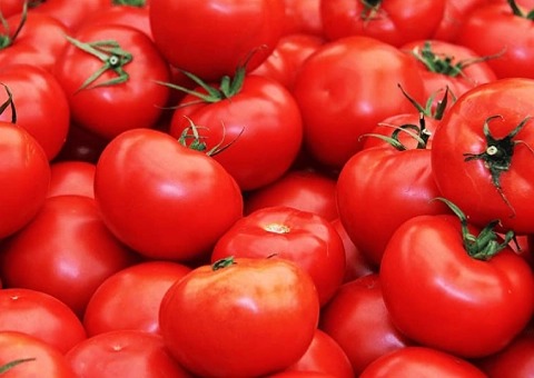 قیمت خرید گوجه فرنگی درشت + فروش ویژه