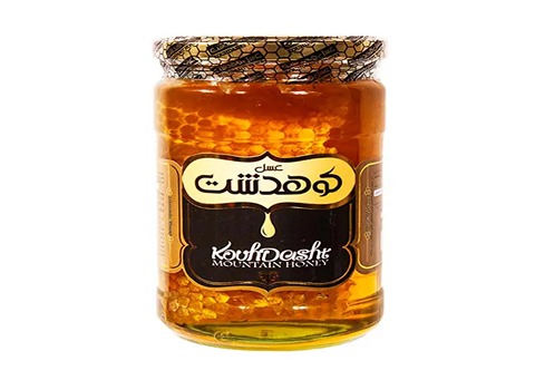 خرید و قیمت عسل کوهدشت در مشهد + فروش عمده