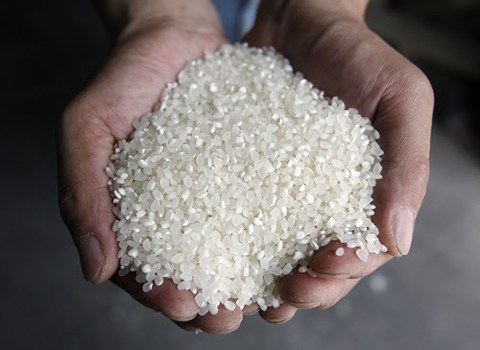 https://shp.aradbranding.com/قیمت خرید برنج افغانی خوشمزه + فروش ویژه