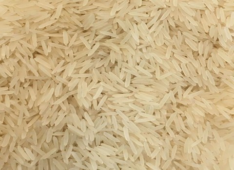 قیمت خرید برنج خارجی خاطره + فروش ویژه