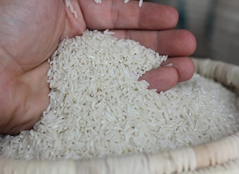 قیمت خرید برنج دونوج مازندران + فروش ویژه