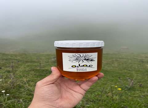 خرید و فروش عسل طبیعی کوهی فارس با شرایط فوق العاده