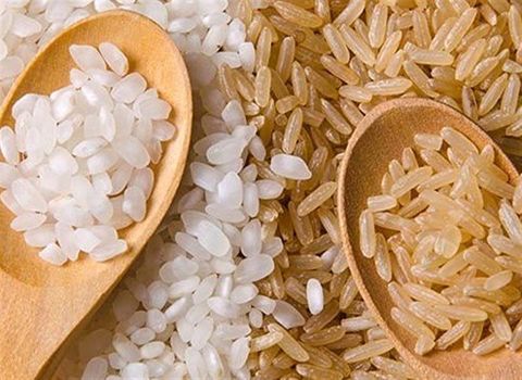 قیمت خرید برنج هاشمی درجه یک گیلان فوق اعلا + فروش ویژه