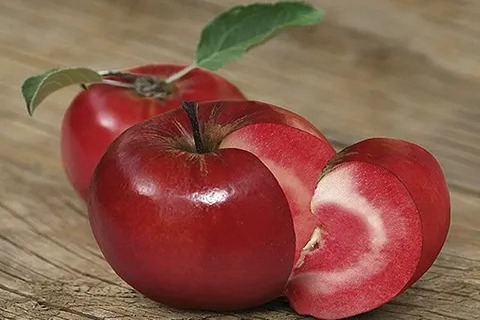 قیمت خرید سیب تو قرمز شاهرود + فروش ویژه