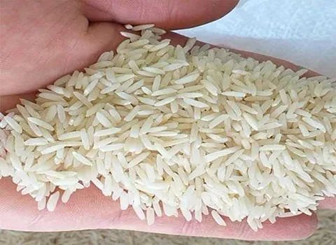 https://shp.aradbranding.com/قیمت برنج معطر هاشمی ممتاز شالی + خرید باور نکردنی