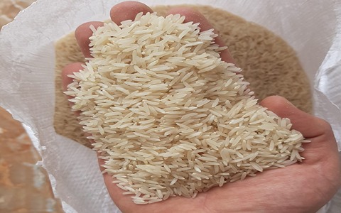 قیمت برنج فجر جی تی سی با کیفیت ارزان + خرید عمده