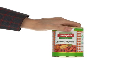 https://shp.aradbranding.com/قیمت خرید کنسرو لوبیا چیتی با قارچ دلپذیر 420 گرمی با فروش عمده