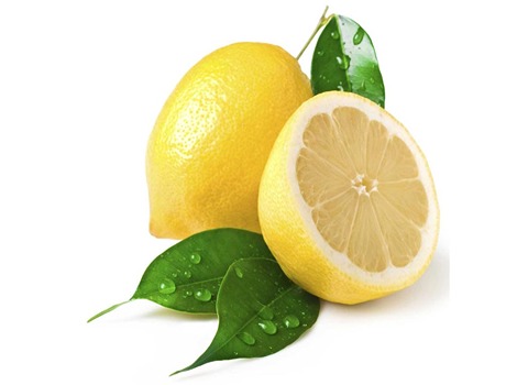 قیمت لیمو ترش لیسبون با کیفیت ارزان + خرید عمده