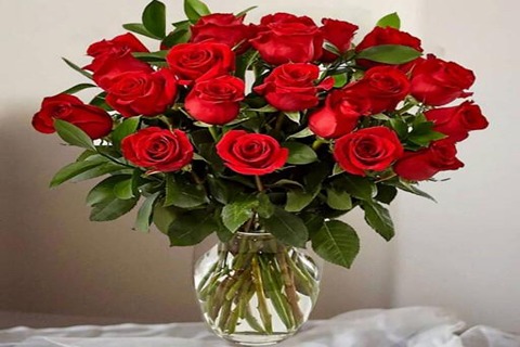 https://shp.aradbranding.com/قیمت خرید گل رز قرمز طبیعی با فروش عمده