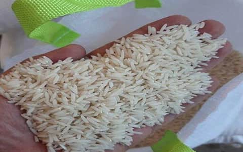 https://shp.aradbranding.com/خرید و فروش برنج درجه یک با شرایط فوق العاده