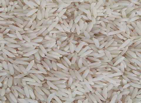 قیمت خرید برنج فجر گنبد عمده به صرفه و ارزان