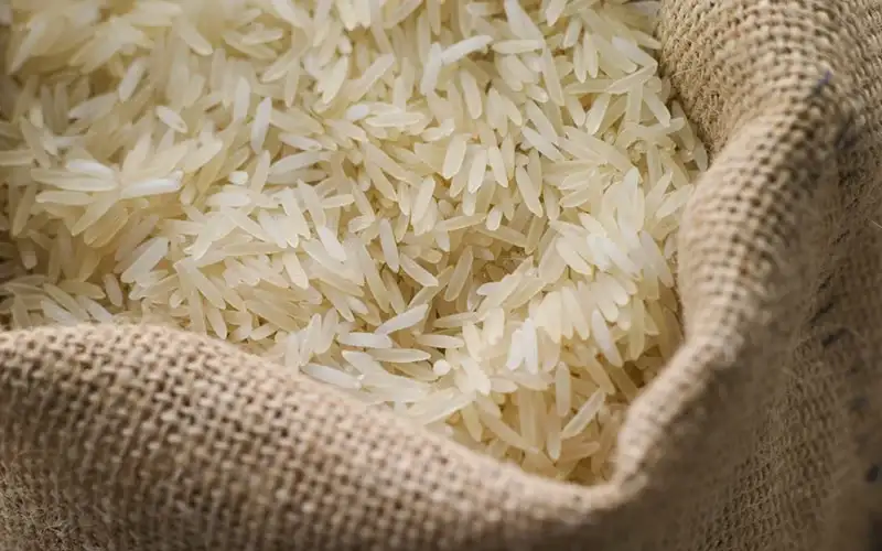 خرید برنج دانه بلند درجه یک هندی + قیمت فروش استثنایی