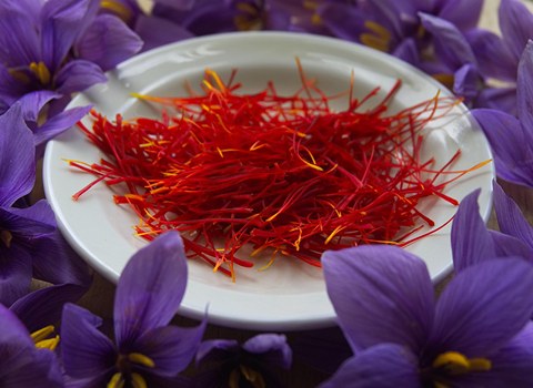 قیمت خرید زعفران هندی با فروش عمده