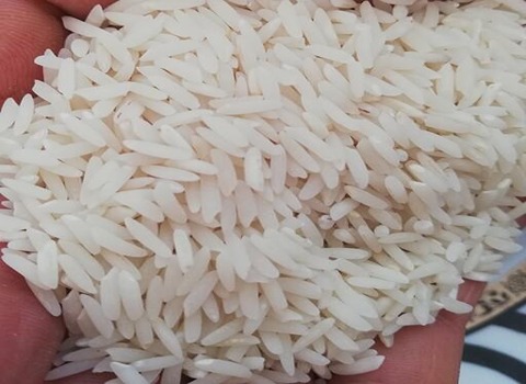 خرید و قیمت برنج شمال کیلویی + فروش صادراتی