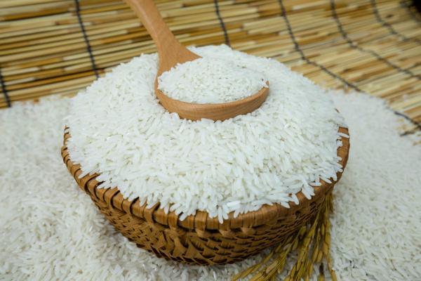 قیمت برنج شیرودی ارزان + خرید باور نکردنی