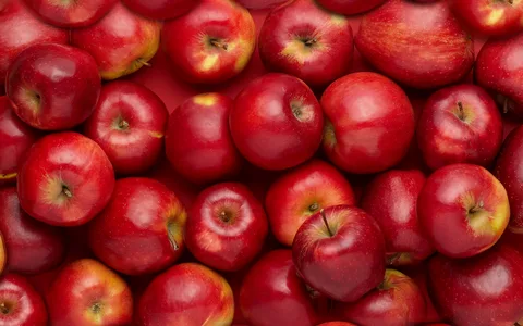 قیمت خرید سیب قرمز اردبیل عمده به صرفه و ارزان