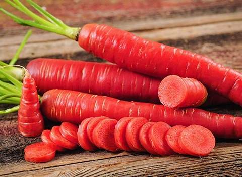 فروش هویج قرمز رنگ + قیمت خرید به صرفه