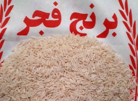 قیمت خرید برنج فجر طلایی + فروش ویژه