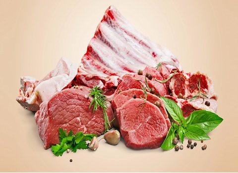 خرید گوشت گوسفند ماده + قیمت فروش استثنایی