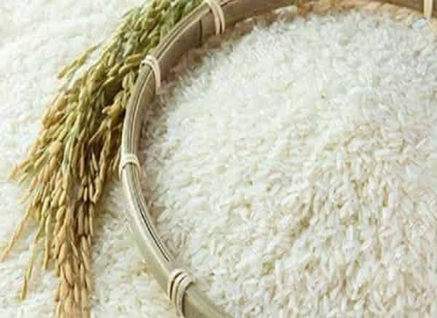 خرید و قیمت برنج شیرودی اتکا + فروش صادراتی