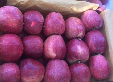 https://shp.aradbranding.com/قیمت خرید میوه سیب کوهی با فروش عمده