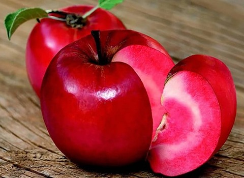 خرید و فروش سیب لپ قرمز با شرایط فوق العاده