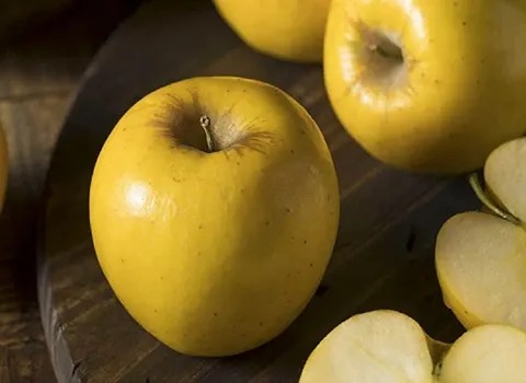 https://shp.aradbranding.com/خرید و قیمت سیب پاییزی دماوند + فروش صادراتی