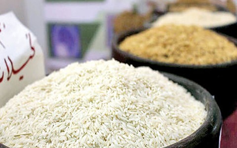 خرید و قیمت برنج آستانه اشرفیه گیلان + فروش عمده