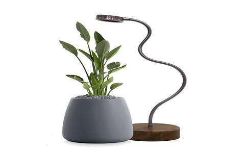 https://shp.aradbranding.com/قیمت خرید لامپ رشد گیاه رومیزی با فروش عمده