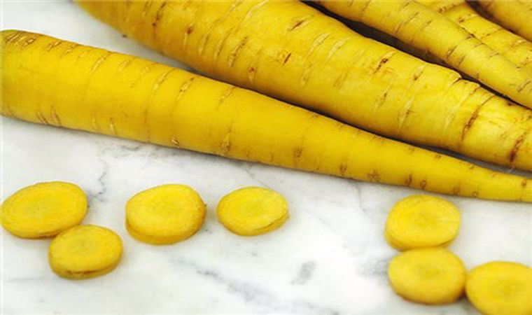 فروش هویج زرد + قیمت خرید به صرفه