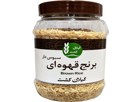قیمت خرید برنج قهوه ای گیلان کشت + فروش ویژه