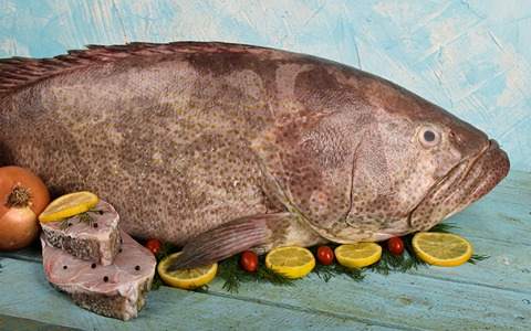 خرید ماهی ماهور سفید + قیمت فروش استثنایی