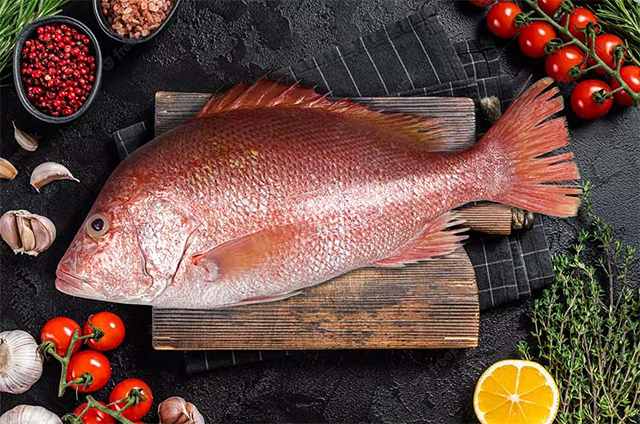 خرید ماهی سرخو سلطان + قیمت فروش استثنایی