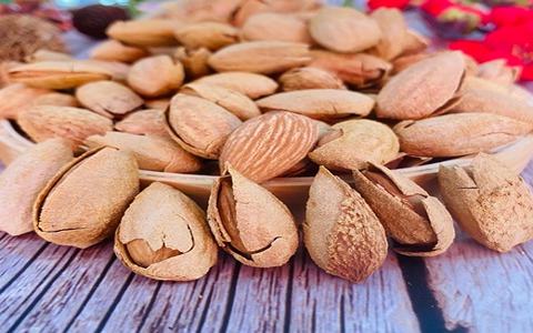 قیمت بادام پوست کاغذی + خرید باور نکردنی - آراد برندینگ