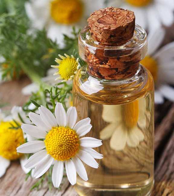 قیمت روغن بابونه + خرید باور نکردنی