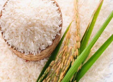 خرید و قیمت برنج هندی هایلی + فروش صادراتی