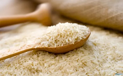 خرید و فروش برنج پاکستانی بروج با شرایط فوق العاده