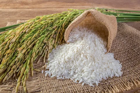 خرید و قیمت برنج پاکستانی سارال + فروش صادراتی