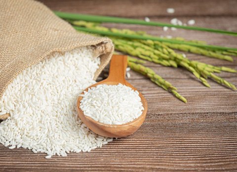https://shp.aradbranding.com/قیمت خرید برنج پاکستانی دل بهار + فروش ویژه