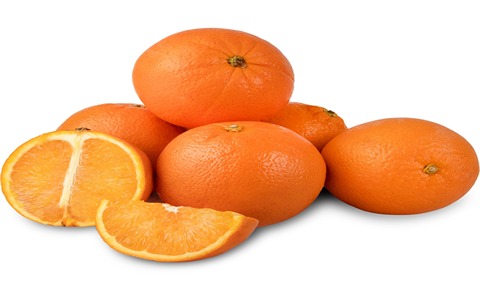 خرید و قیمت پرتقال تامسون + فروش عمده