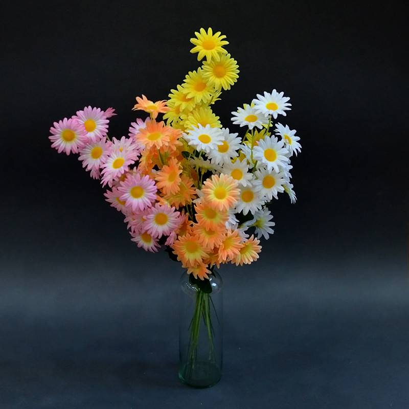 https://shp.aradbranding.com/خرید و فروش بابونه گل سفید با شرایط فوق العاده
