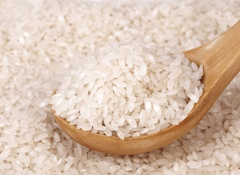 قیمت خرید برنج هندی ممتاز رضوی با فروش عمده