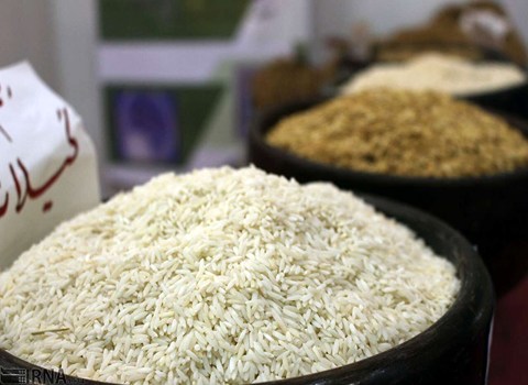 قیمت خرید برنج هندی کامنوش عمده به صرفه و ارزان