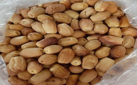 https://shp.aradbranding.com/قیمت خرما زاهدی رطب با کیفیت ارزان + خرید عمده