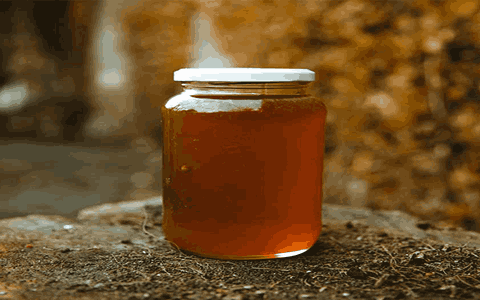 قیمت عسل طبیعی کوهستان + خرید باورنکردنی
