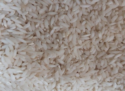 فروش برنج چمپای خوزستان درجه یک + قیمت خرید به صرفه
