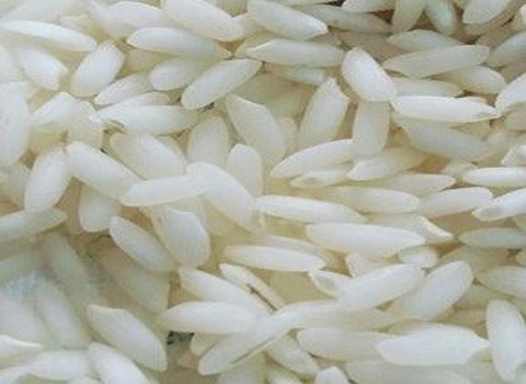 خرید برنج چمپا اصل + قیمت فروش استثنایی