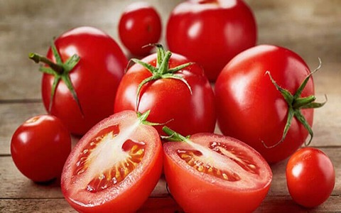 خرید و قیمت گوجه فرنگی گلخانه ای صادراتی + فروش عمده