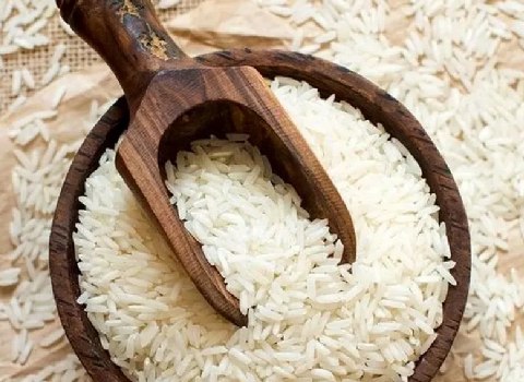 خرید و فروش برنج شمال زنجان با شرایط فوق العاده