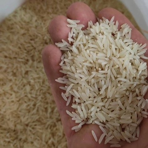 قیمت خرید برنج سبوس دار با فروش عمده